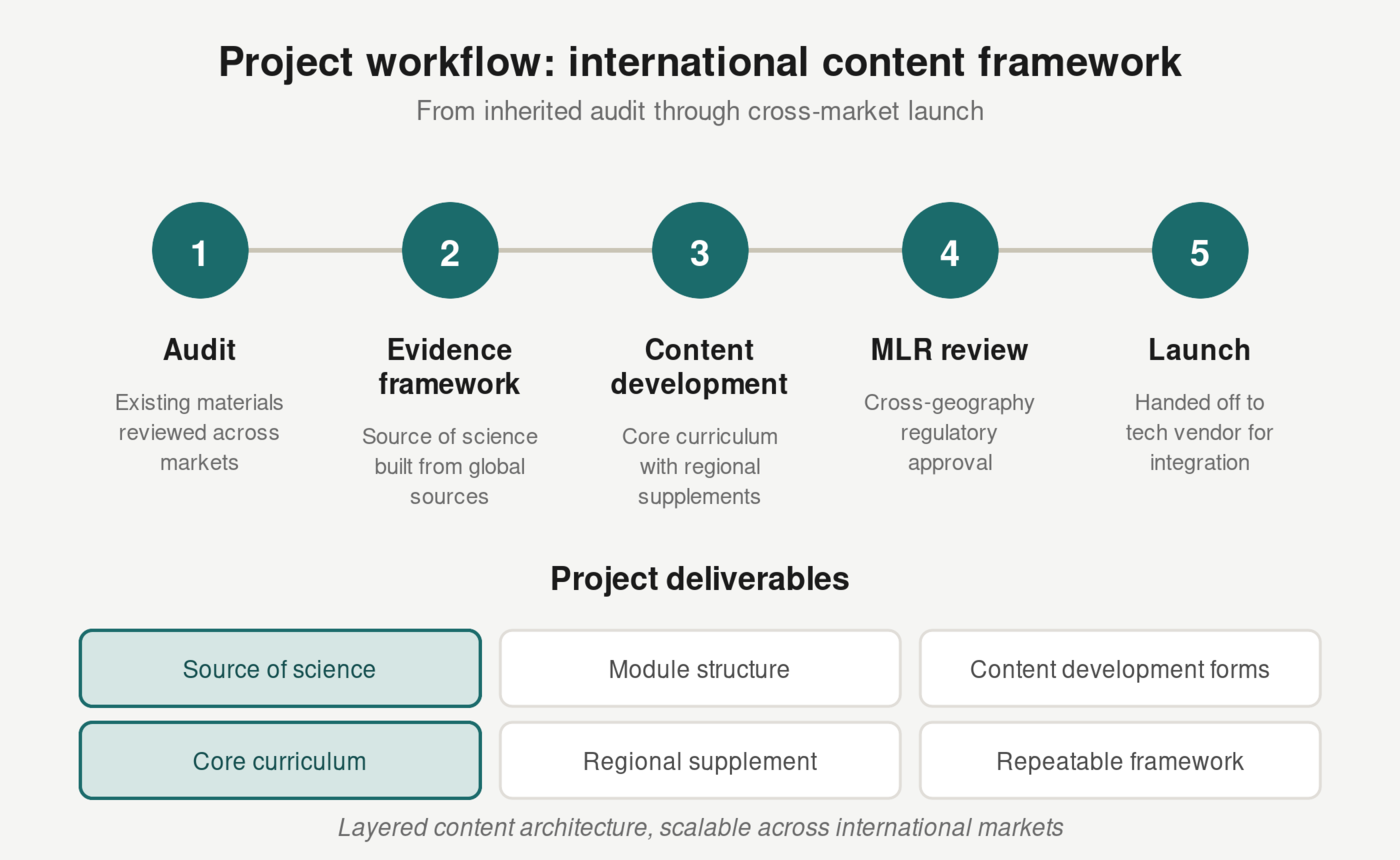 Project workflow diagram showing five phases (audit, evidence framework, content development, MLR review, launch) and the project deliverables grid below.